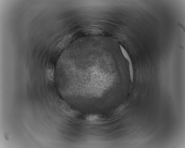 X0000100380177200806271343