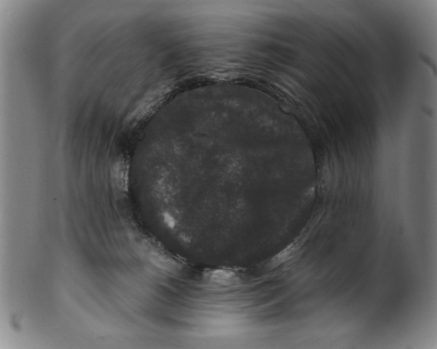 X0000100380180200806271343