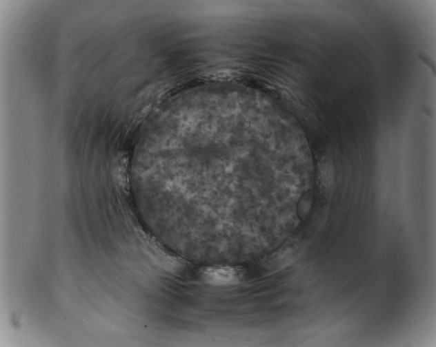 X0000100380181200806271343