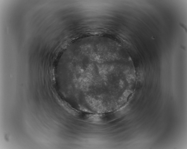 X0000100380182200806271343