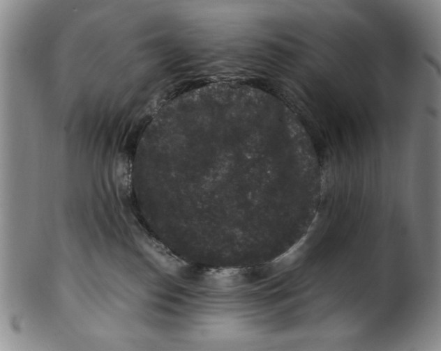 X0000100380186200806271343