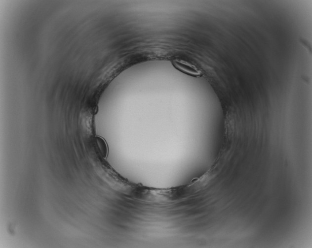 X0000100380188200806271343