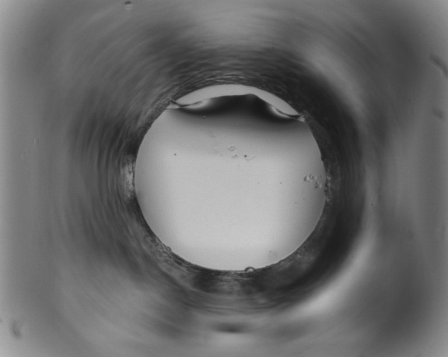 X0000100380190200806271343
