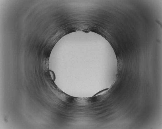 X0000100380191200806271343