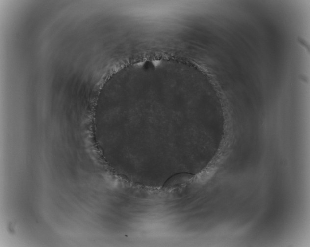 X0000100380192200806271343