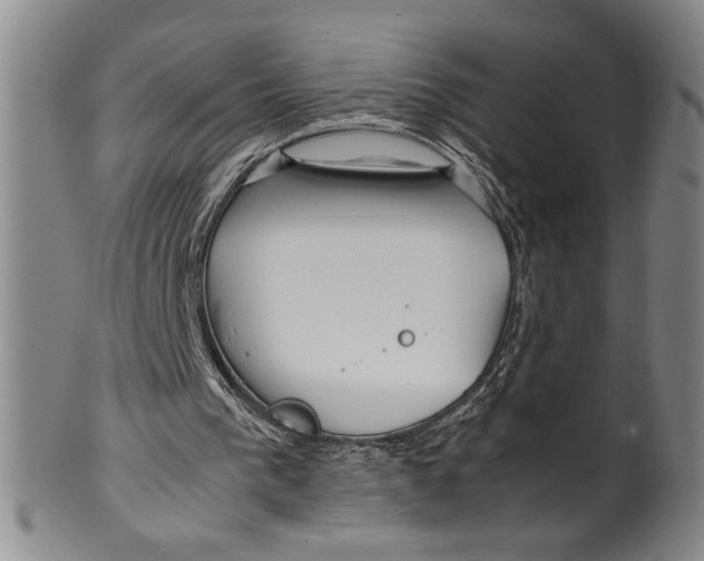 X0000100380193200806271342