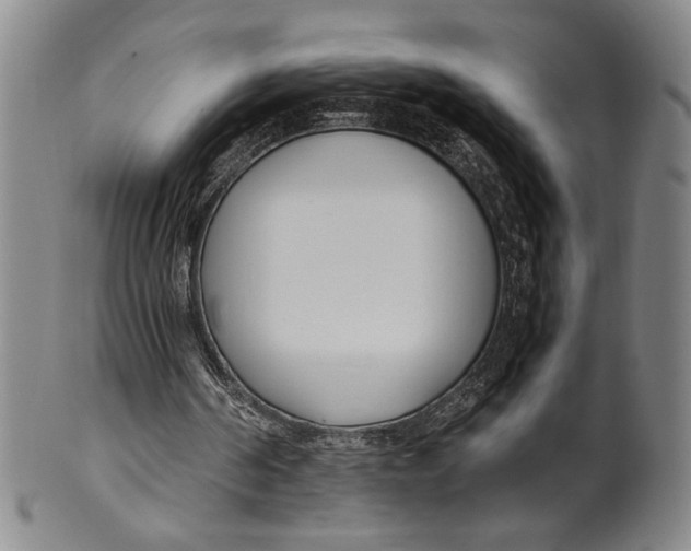 X0000100380194200806271342