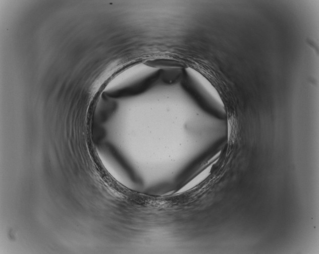 X0000100380195200806271342