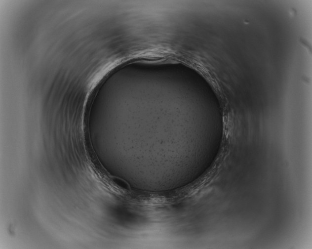 X0000100380196200806271342
