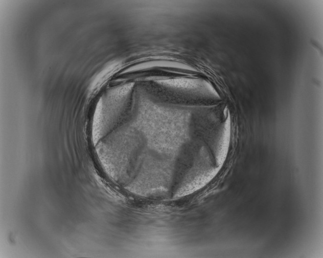 X0000100380197200806271342