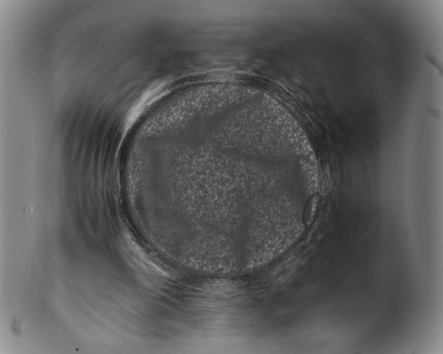 X0000100380198200806271342