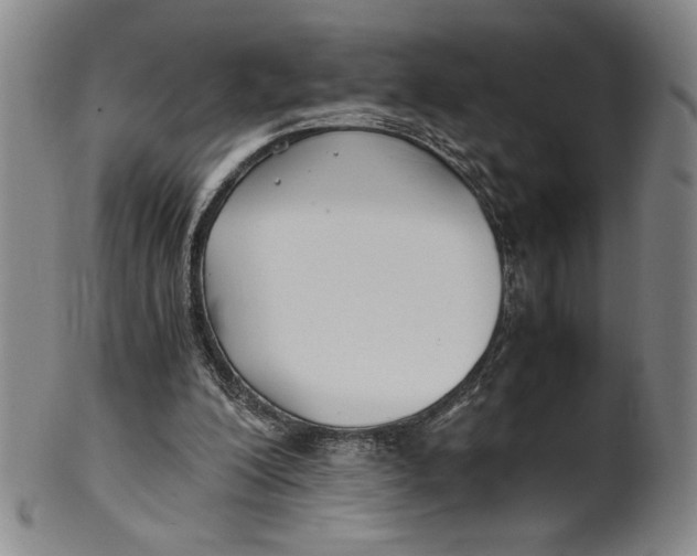 X0000100380200200806271342