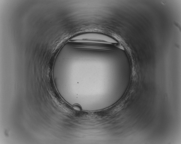 X0000100380201200806271342