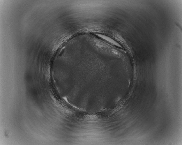 X0000100380202200806271342