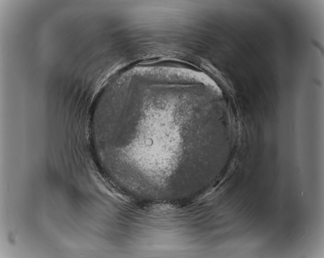 X0000100380203200806271342