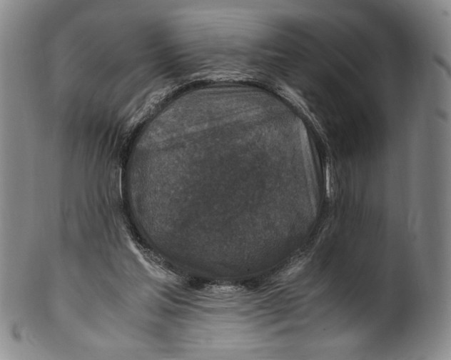 X0000100380205200806271342