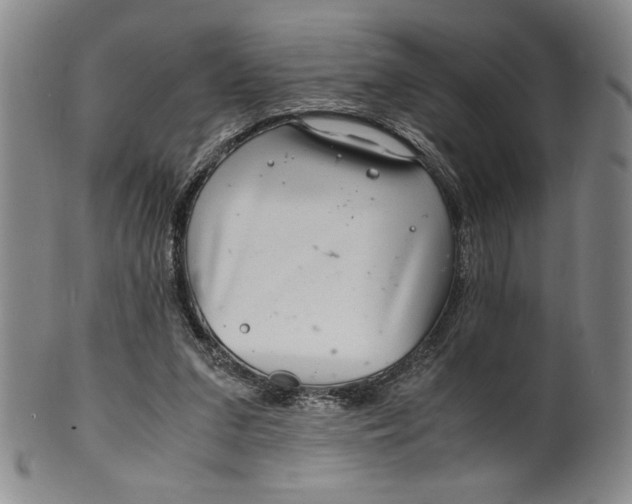 X0000100380207200806271342