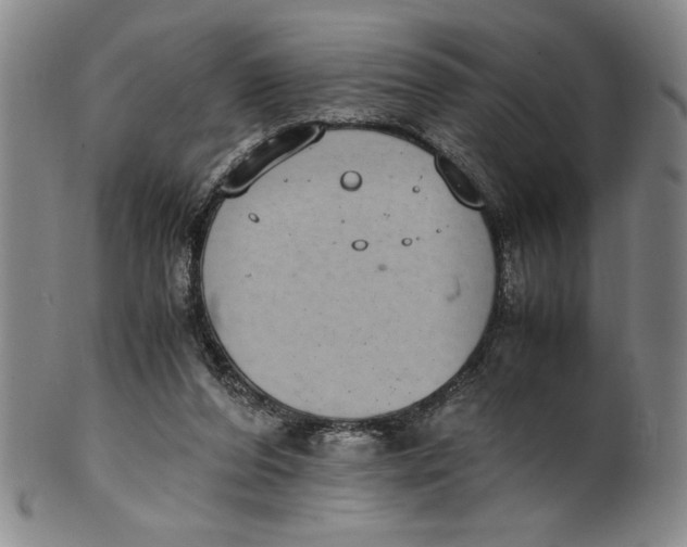 X0000100380208200806271342