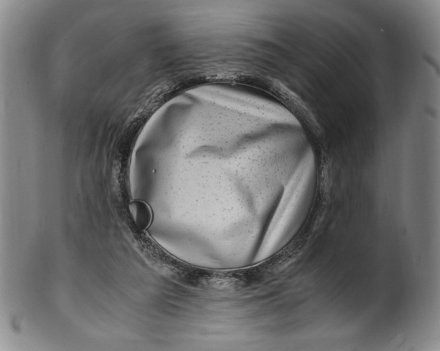 X0000100380209200806271342