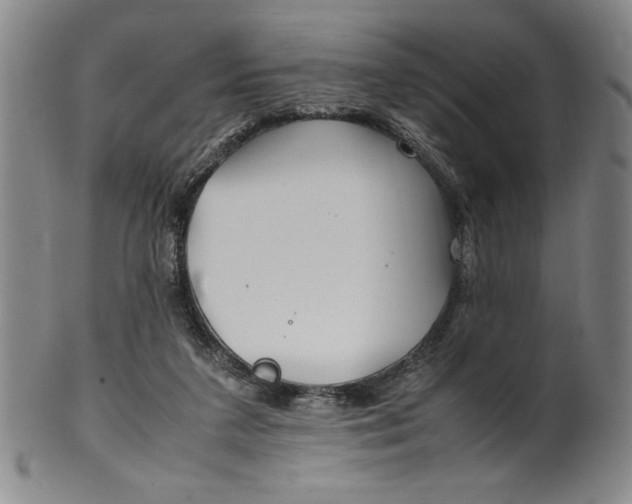 X0000100380211200806271342