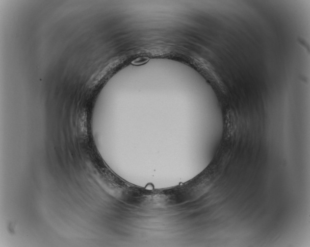 X0000100380212200806271342