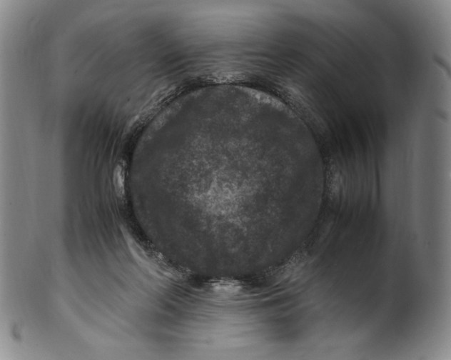 X0000100380214200806271342
