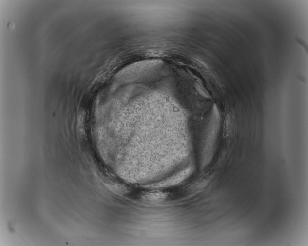 X0000100380217200806271342