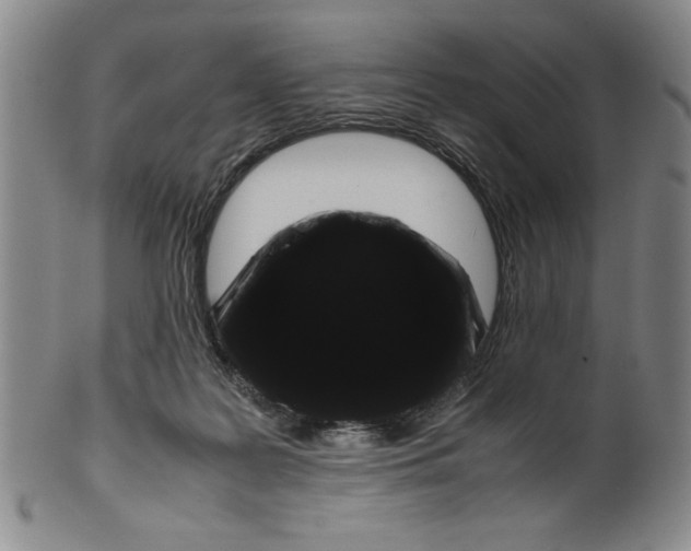 X0000100380219200806271342