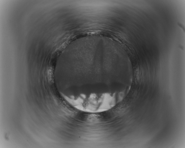 X0000100380222200806271342