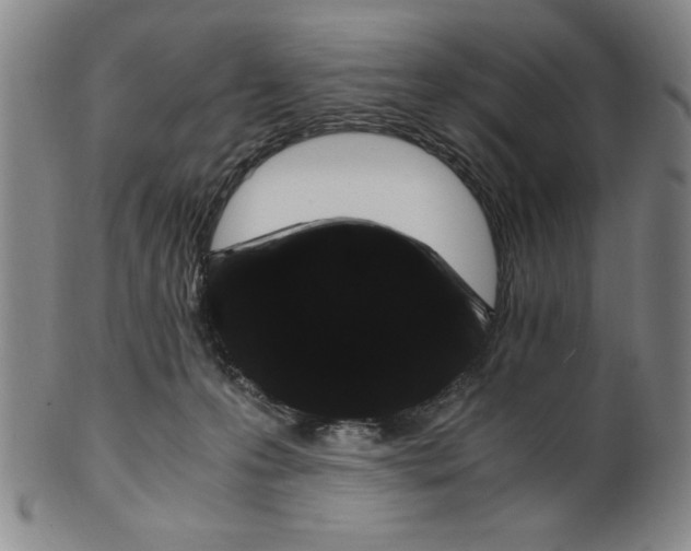 X0000100380223200806271342