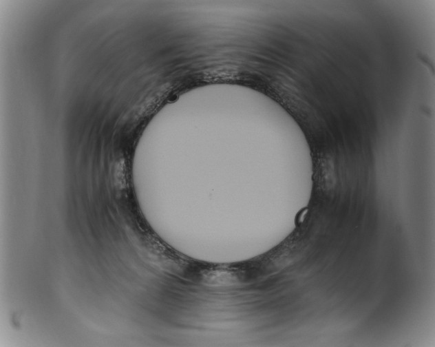 X0000100380224200806271342