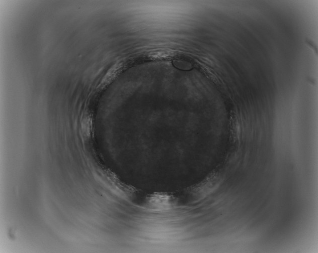X0000100380227200806271342