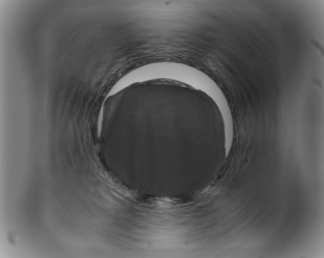 X0000100380229200806271341