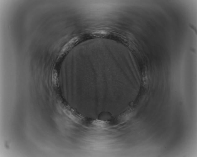 X0000100380231200806271341