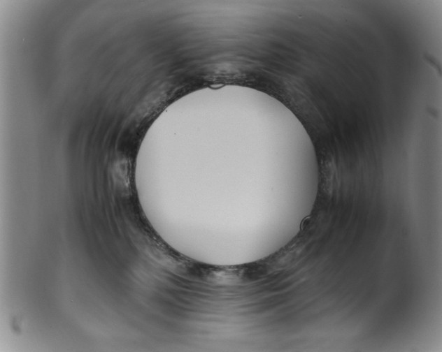 X0000100380232200806271341