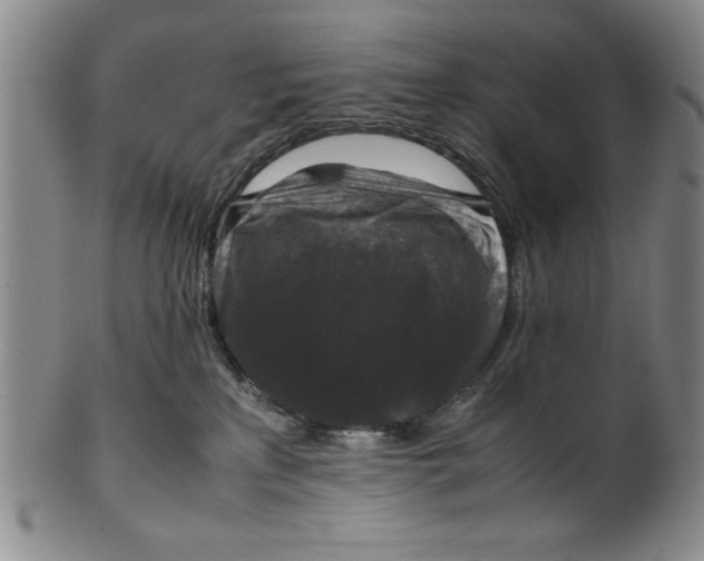 X0000100380233200806271341