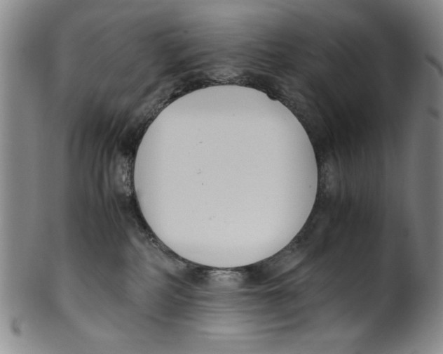 X0000100380234200806271341
