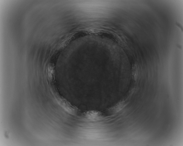 X0000100380235200806271341