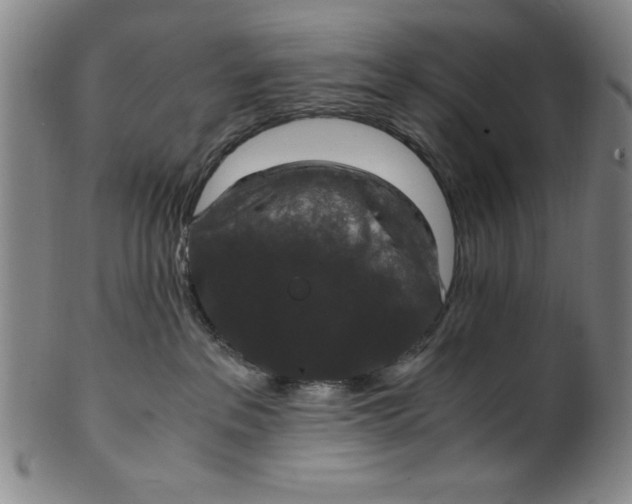 X0000100380237200806271341
