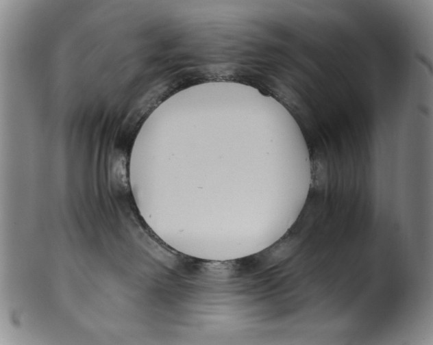 X0000100380238200806271341