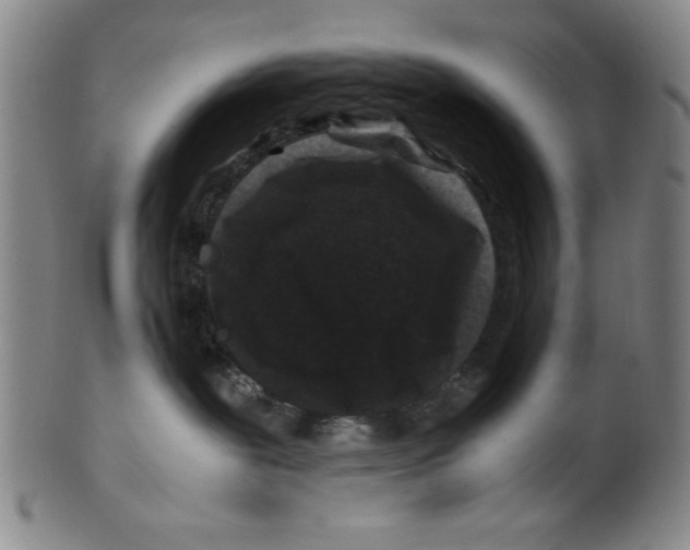 X0000100380239200806271341