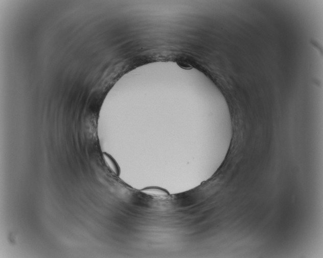 X0000100380240200806271341