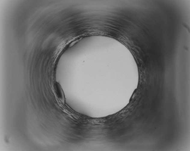 X0000100380241200806271341