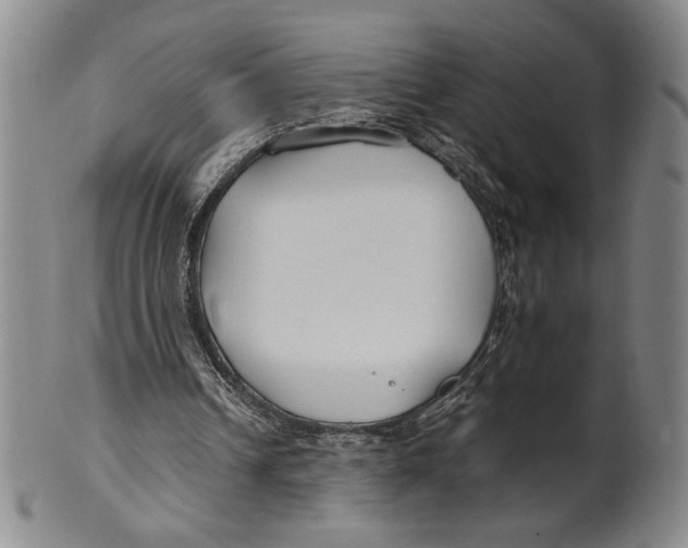 X0000100380242200806271341