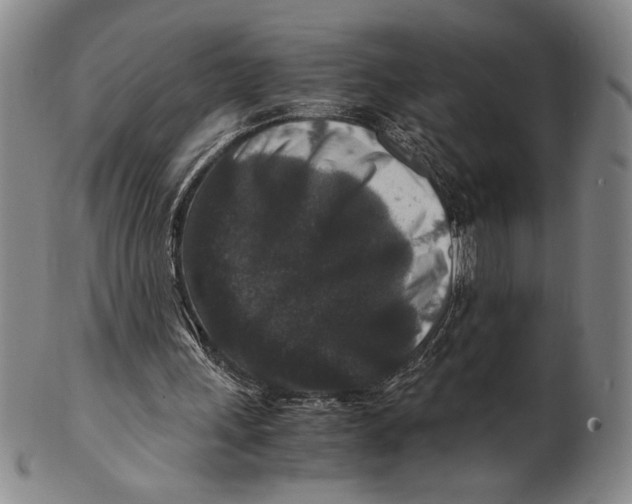 X0000100380243200806271341