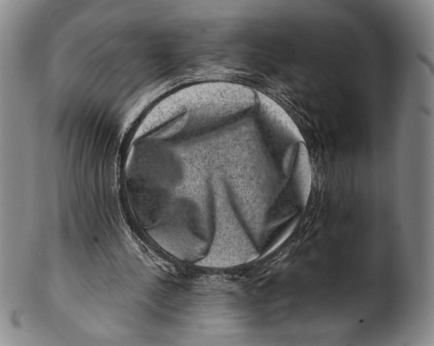 X0000100380244200806271341