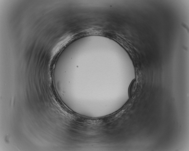X0000100380245200806271341