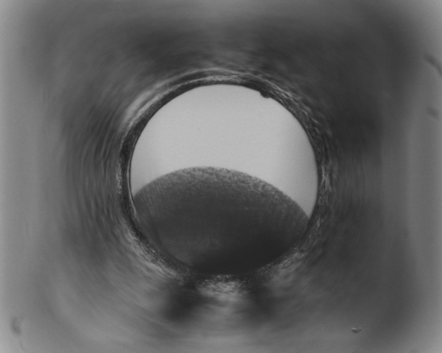 X0000100380247200806271341
