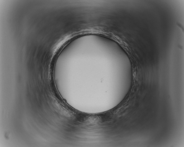 X0000100380248200806271341
