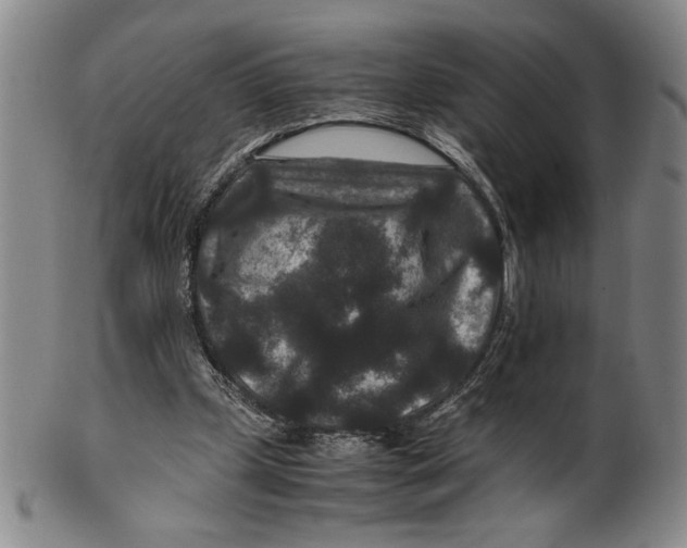 X0000100380249200806271341